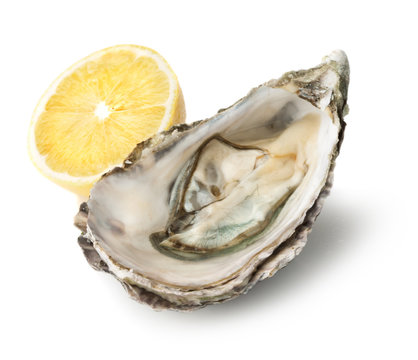 Fresh opened oyster with lemon isolated on white background
