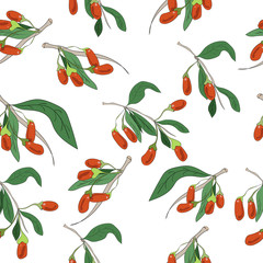 Vector goji berries seamless pattern with branches on white background. Design for packaging, tea shop, drink menu, homeopathy and health care products.
