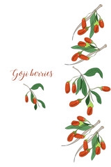 Vector goji berries banner with branches on white backgroud. Design for packaging, tea shop, drink menu, homeopathy and health care products.