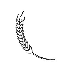 wheat ear icon image vector illustration design 