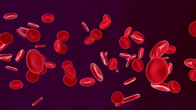 Oxygen flowing with Erythrocytes in the bloodstream