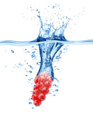 Closeup of red currant in ice cube