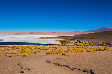 Salar de Tara