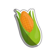 Delicious and fresh vegetable icon vector illustrration graphic design