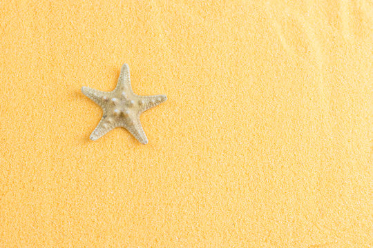 Beautiful Starfish On Decorative Orange Sand Top View.