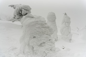 snow monster at zao mountain