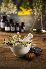 Assorted natural medical herbs and mortar on wooden table background