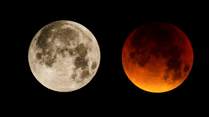 Obraz premium Lunar Eclipse - Blood Moon