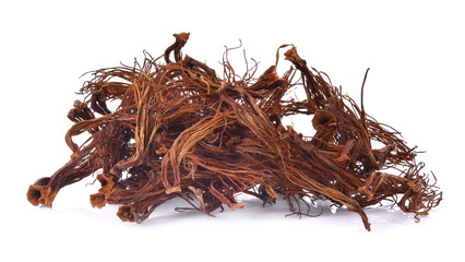 Fototapeta premium Dry Bombax ceiba