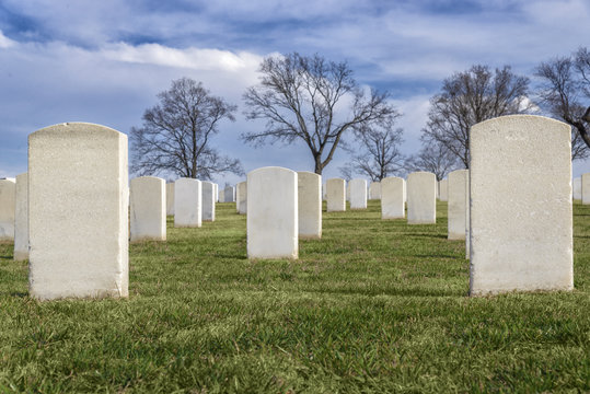 Rows of blank headstones in a cemetery.