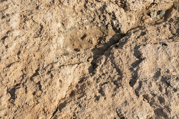 Stone background and texture 