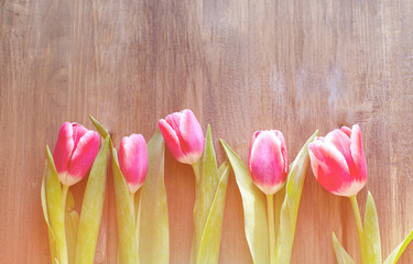 Pink tulips on a wooden background with water drops on stems and flowers