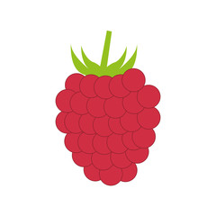 Raspberry Delicious fruit icon vector illustration graphic design