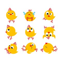 funny chickens package