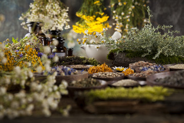 Herbs, berries and flowers with mortar, on wooden table background
