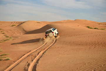 Fahrt in der Sandwüste