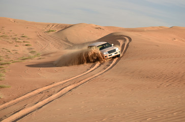 Fahrt in der Sandwüste