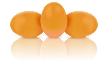 Chicken eggs. Three brown eggs with reflection on white background