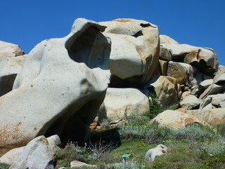 Granitfelsen auf der Isola di Lavezzi an der korsischen Südküste östlich von Bonifacio,...