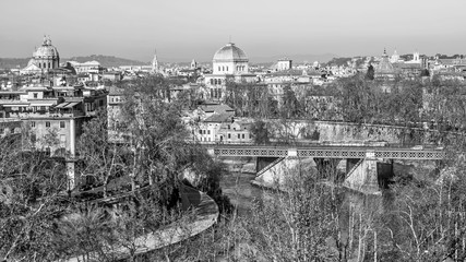 Naklejka premium cityscape of Rome in black and white