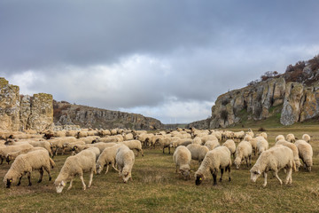 Fototapeta premium Dobrogea Gorges, Romania