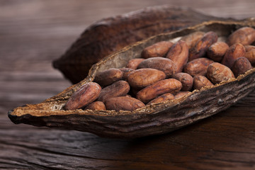 Cocoa pod on wooden table