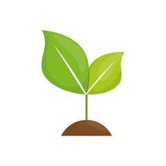 Fototapeta na wymiar Nature green plant icon vector illustration graphic design