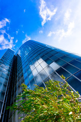 Blue skyscraper facade. office buildings. modern glass silhouettes of skyscrapers