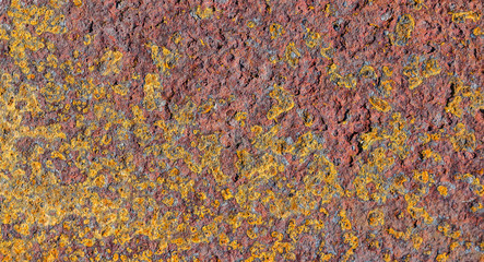 The Texture Of The Old Rusty Metal Plate. Close-Up. Background Series.