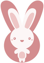 The stuffed toy of the rabbit