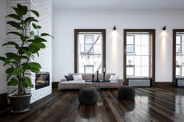 Spacious living room with plant