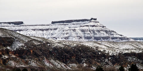 Winter scene