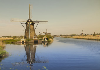 Fototapeta na wymiar Dutch windmill in Kinderdijk