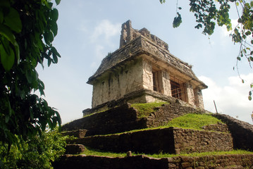 Forest in Palenque