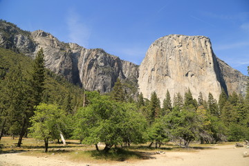 traumhafte Aussichten im Yosemite National Park