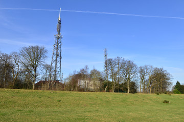 A mobile phone mast on a spring day in the UK