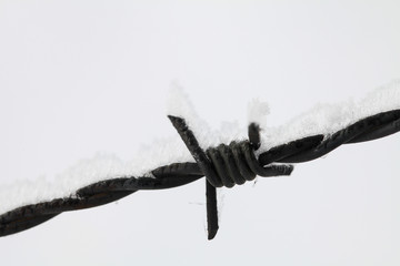 Schneebedeckter Stacheldraht