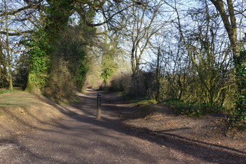 A country path in Surrey England in early spring.
