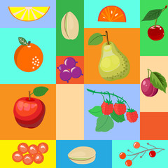 The set of fruit cards for your design. vector illustration