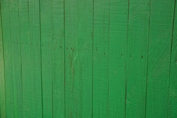 Зелёная текстура дерева © butus