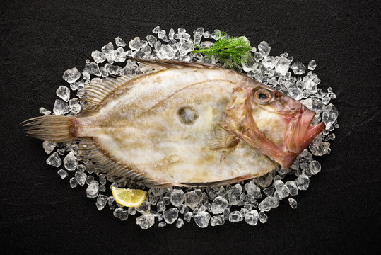 Fresh St Peter's fish on ice on a black stone background