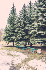 Fototapeta premium Two benches and bin in the park at the firs. Early spring, the snow and ice on the grass.