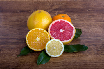 Naklejka na ściany i meble citrus fruit ( lemon, orange, grapefruit and tangerine) with leaves 