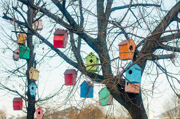 Multicolored birdhouses on the branches of a tree