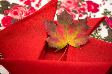 Golden autumn. Macro shot of red, green, yellow, purple and orange maple leave laying on red linen napkins, natural linen tablecloth with rose print, on top of the table on colorful background