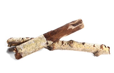 dry rotten branch birch isolated on white background