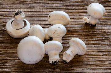 funghi champignon