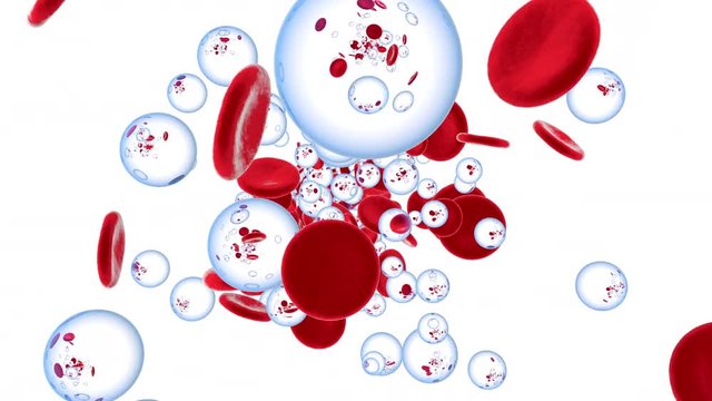 Oxygen flowing with Erythrocytes in the bloodstream on a white background.