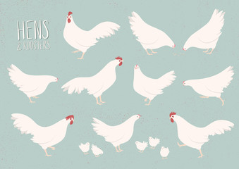 Vector set of white hens and roosters
