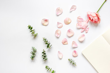 floral pattern with rose and eucalyptus on white table top view mock-up